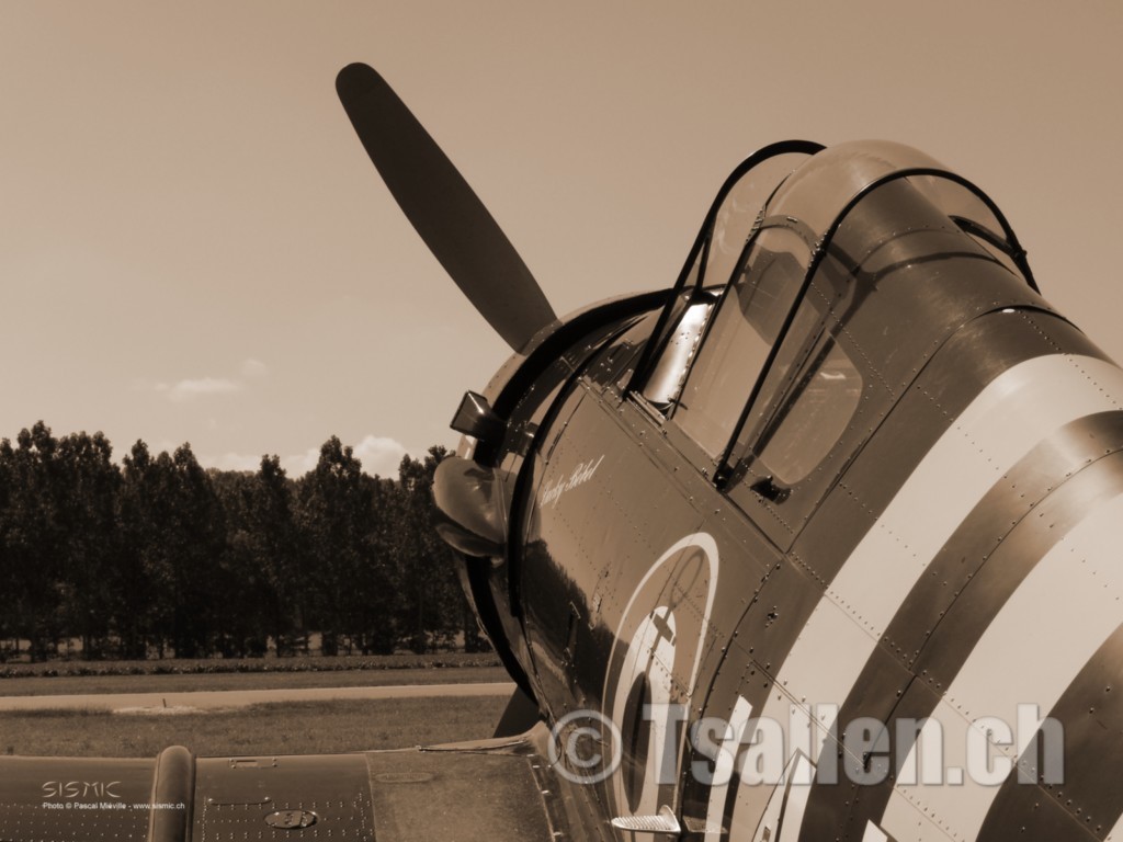 Fana d'aviation, j'ai participé à d'inombrables meetings depuis les années 1980